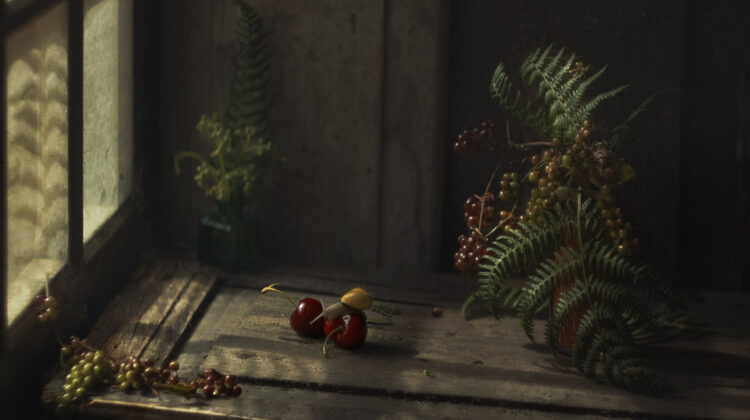 Cherry-and-snail