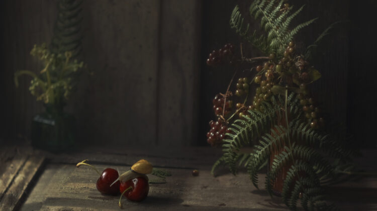 Cherry-and-snail3