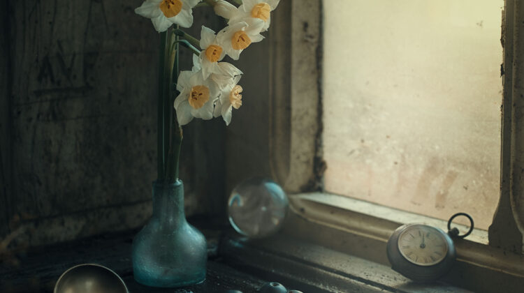 Narcissus