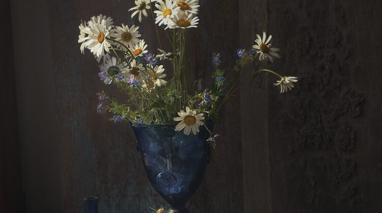 chamomile-and-veronica